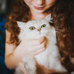 pet sitter